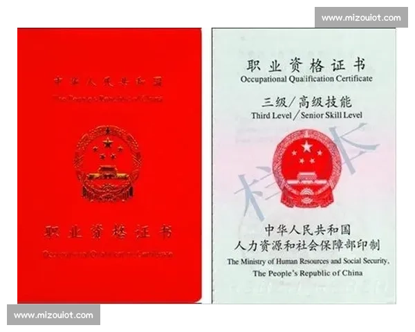 打造高水平运动员职业技能培养与发展全攻略